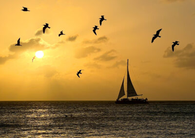 Sailboat And Seagulls In Arashi Beach